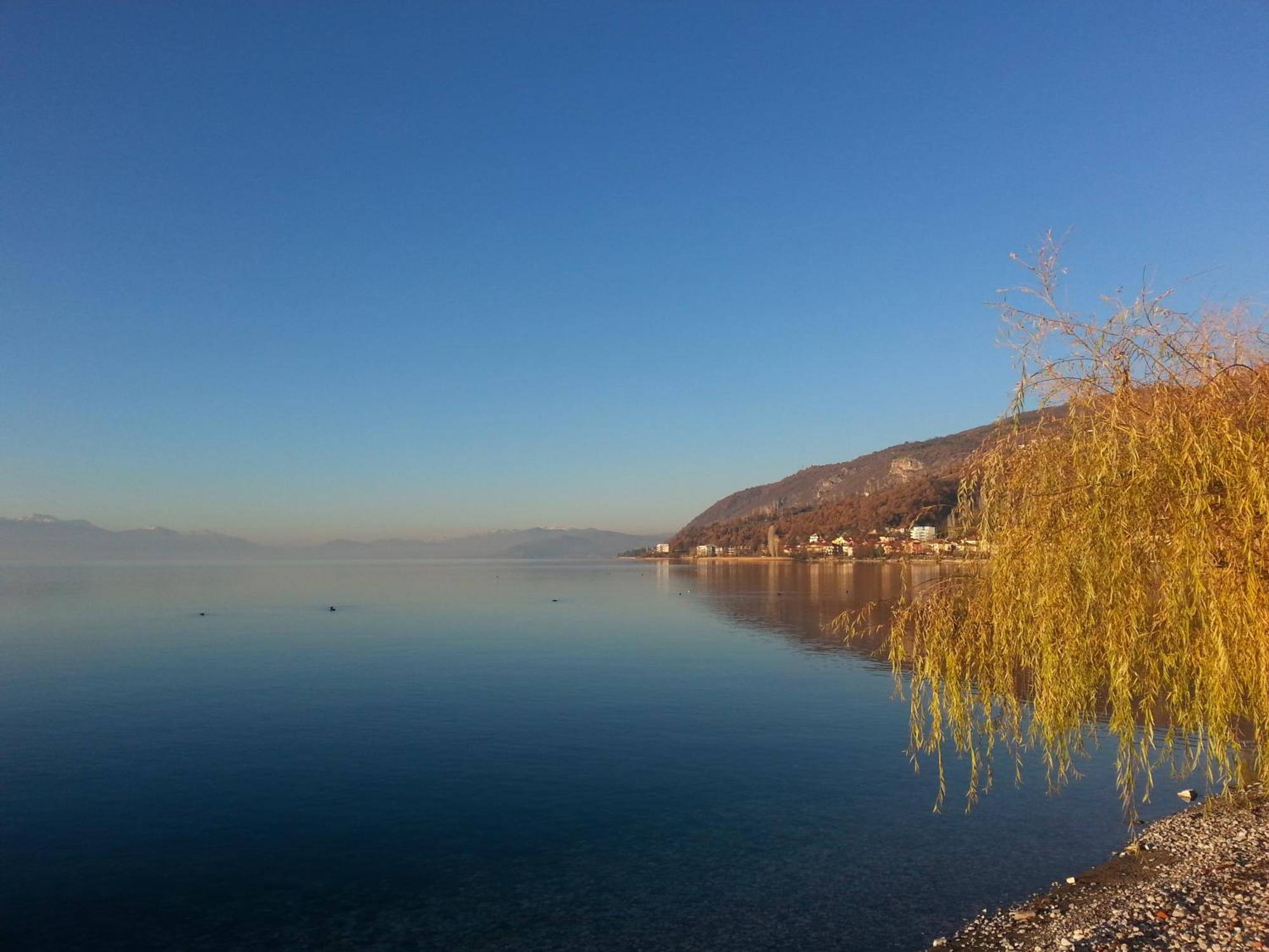 Lile Pestani Accommodation Номер фото