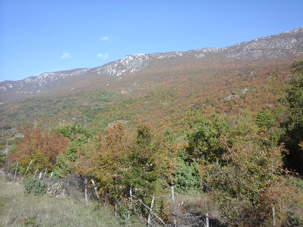 Lile Pestani Accommodation Екстер'єр фото