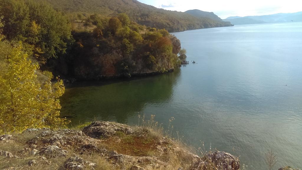 Lile Pestani Accommodation Екстер'єр фото